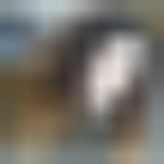 Ghizlane, 41 ans — rencontre sexe à Bourgoin-Jallieu