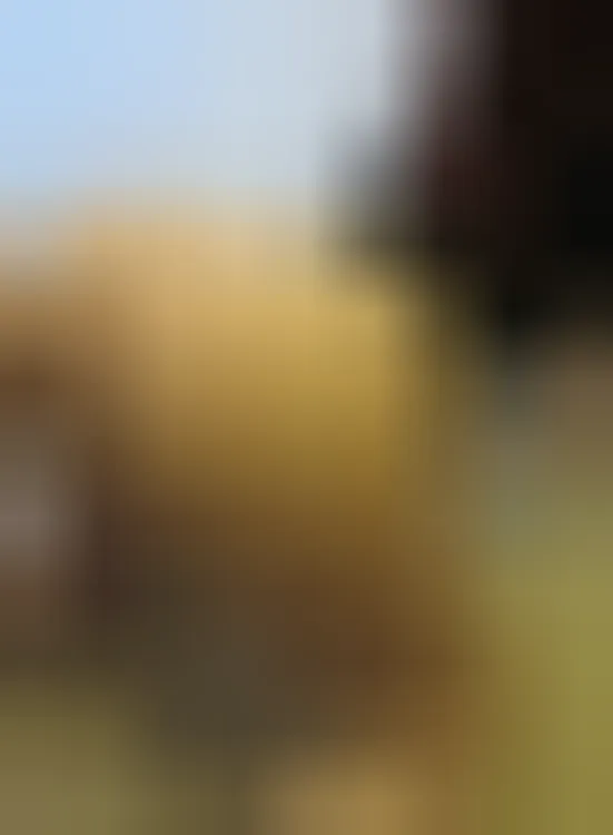 Tatiana, 34 ans — rencontre sexe à Petit-Bourg
