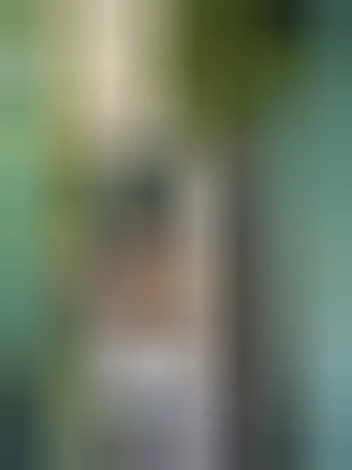 Lyna, 23 ans — rencontre sexe à Schiltigheim
