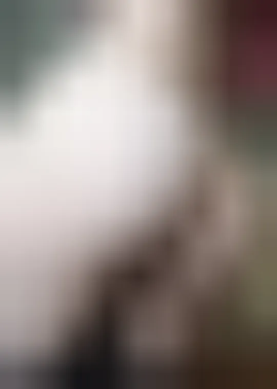 Églantine, 19 ans — rencontre sexe à Aix-en-Provence