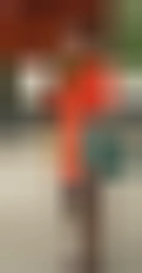 Léa, 25 ans — rencontre sexe à Brive-la-Gaillarde