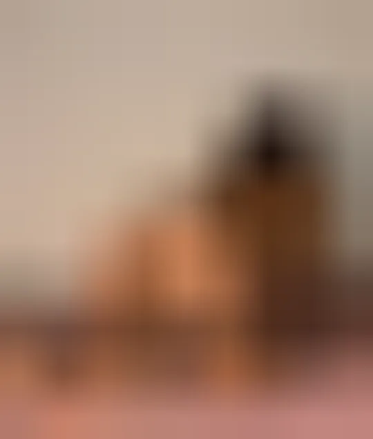 Charlotte, 29 ans — rencontre sexe à Aurec-sur-Loire