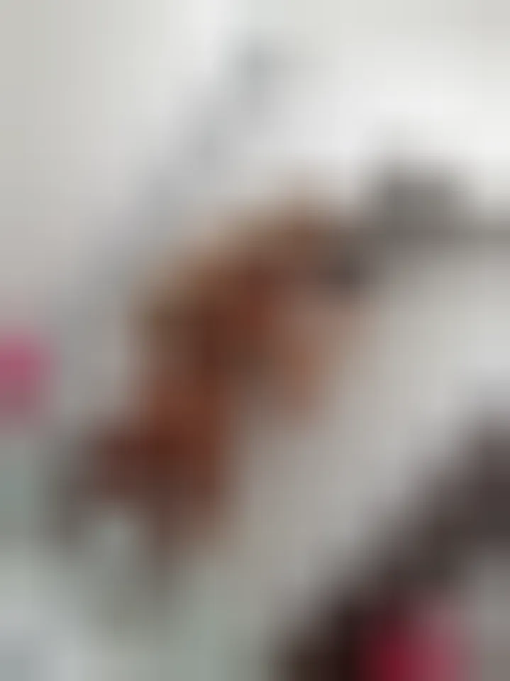 Aicha, 26 ans — rencontre sexe à Rezé