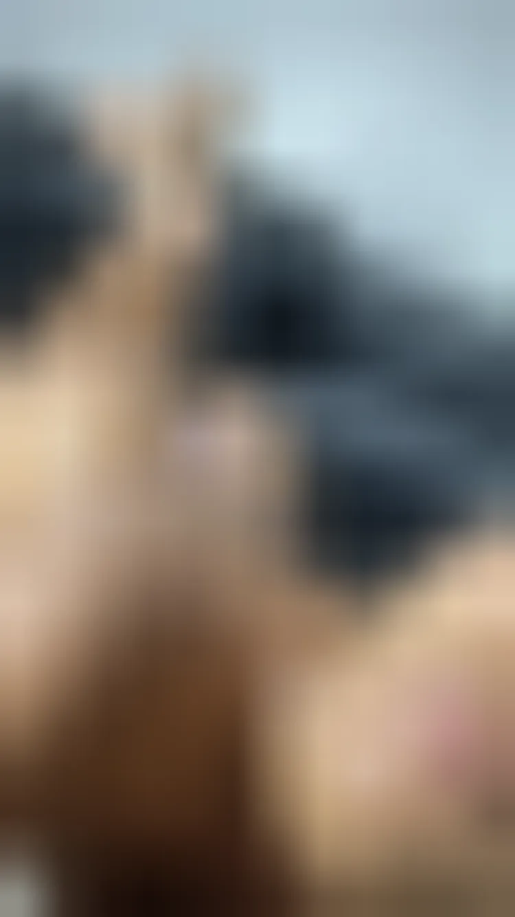 Olympe, 28 ans — rencontre sexe à Ajaccio